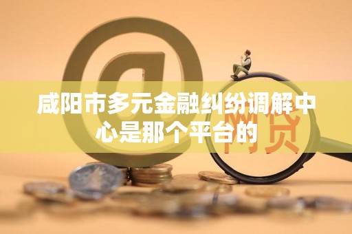咸阳市多元金融纠纷调解中心是那个平台的