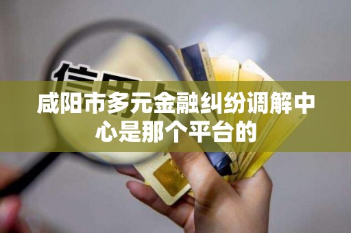 咸阳市多元金融纠纷调解中心是那个平台的