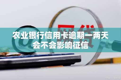 农业银行信用卡逾期一两天会不会影响征信