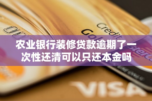农业银行装修贷款逾期了一次性还清可以只还本金吗