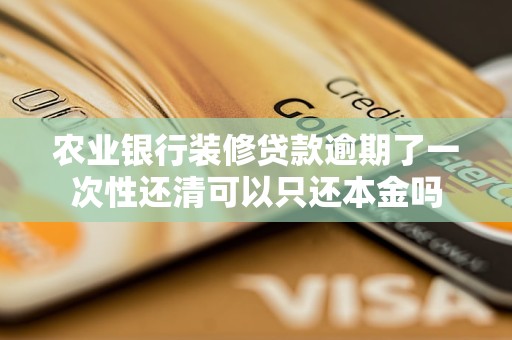 农业银行装修贷款逾期了一次性还清可以只还本金吗