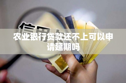 农业银行贷款还不上可以申请延期吗