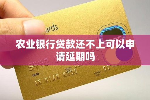 农业银行贷款还不上可以申请延期吗