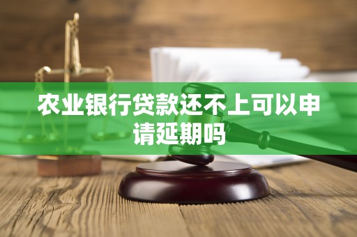 农业银行贷款还不上可以申请延期吗