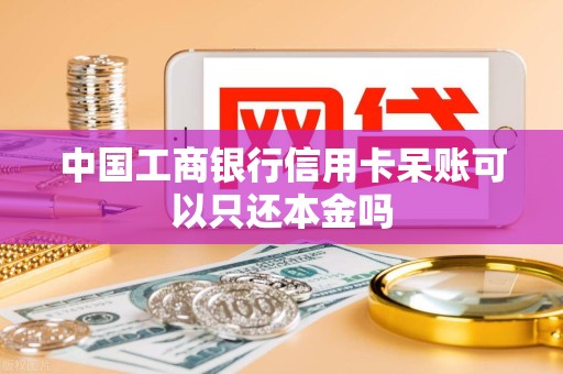 中国工商银行信用卡呆账可以只还本金吗