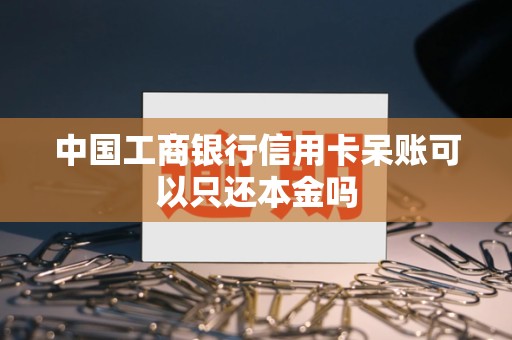 中国工商银行信用卡呆账可以只还本金吗