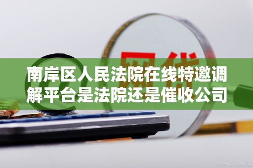 南岸区人民法院在线特邀调解平台是法院还是催收公司 南岸区人民法院在线特邀调解平台是法院还是催收公司