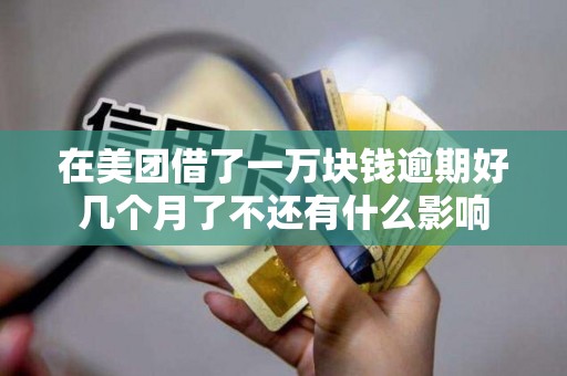 在美团借了一万块钱逾期好几个月了不还有什么影响