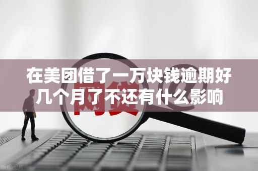 在美团借了一万块钱逾期好几个月了不还有什么影响