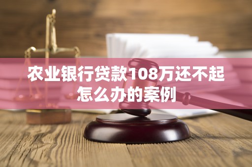 农业银行贷款108万还不起怎么办的案例 农业银行贷款108万还不起怎么办的案例