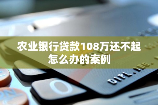 农业银行贷款108万还不起怎么办的案例 农业银行贷款108万还不起怎么办的案例