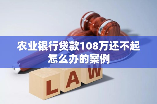 农业银行贷款108万还不起怎么办的案例 农业银行贷款108万还不起怎么办的案例