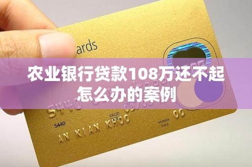 农业银行贷款108万还不起怎么办的案例 农业银行贷款108万还不起怎么办的案例