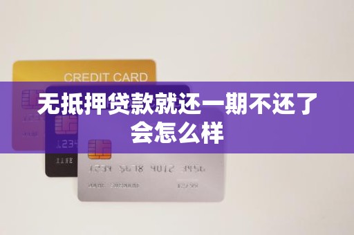 无抵押贷款就还一期不还了会怎么样