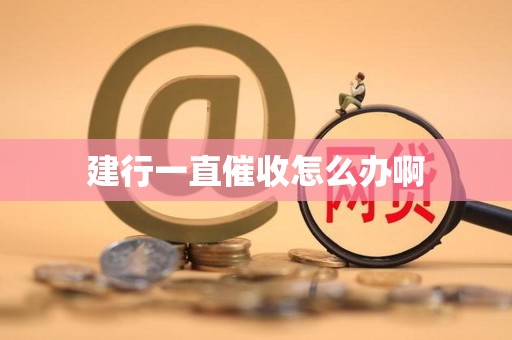 建行一直催收怎么办啊