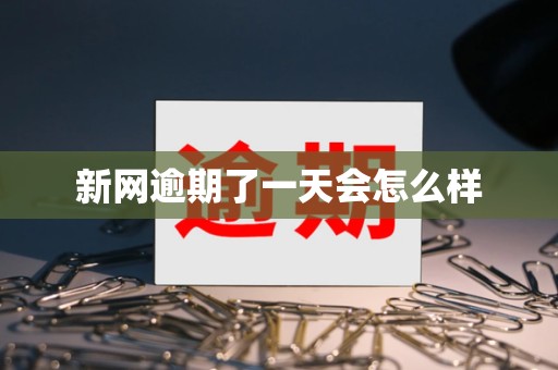 新网逾期了一天会怎么样