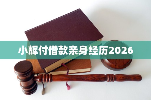 小辉付借款亲身经历2026