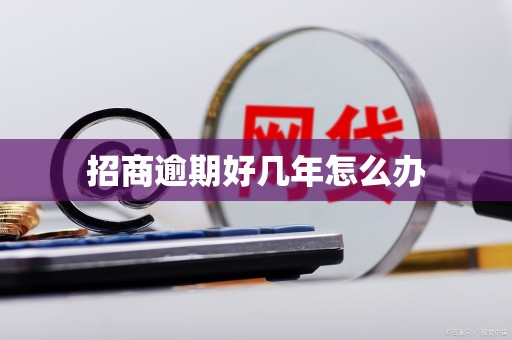 招商逾期好几年怎么办