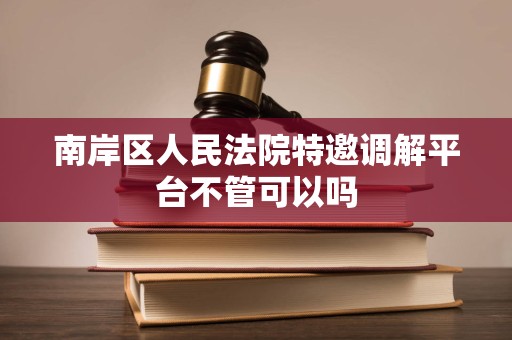 南岸区人民法院特邀调解平台不管可以吗