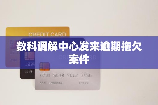数科调解中心发来逾期拖欠案件