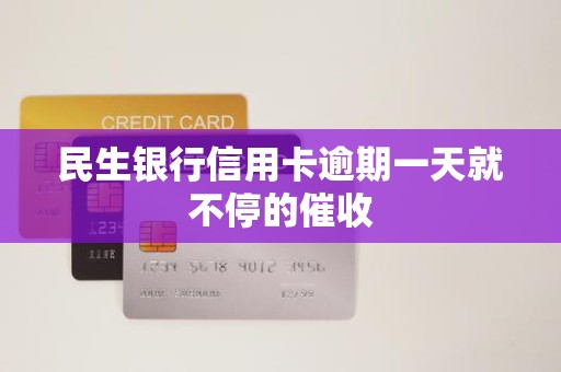 民生银行信用卡逾期一天就不停的催收