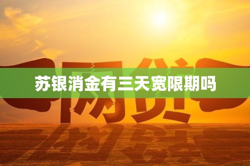 苏银消金有三天宽限期吗