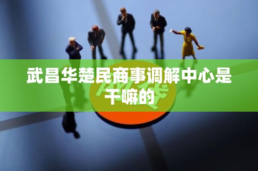 武昌华楚民商事调解中心是干嘛的