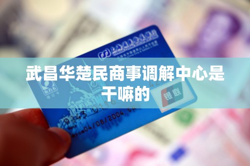 武昌华楚民商事调解中心是干嘛的