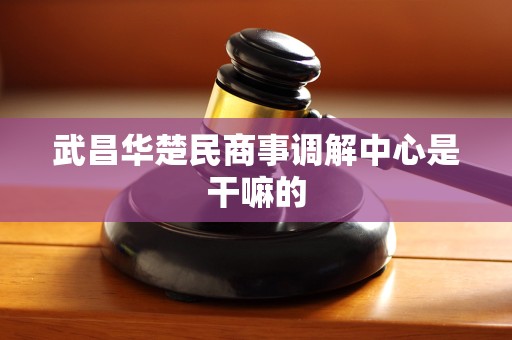 武昌华楚民商事调解中心是干嘛的