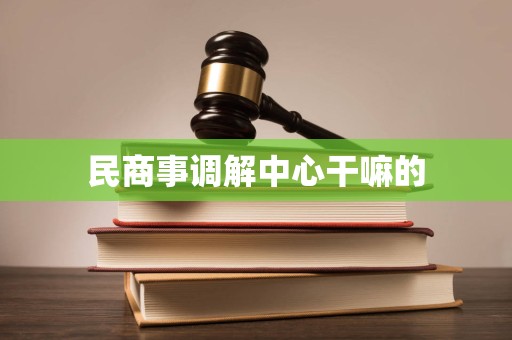 民商事调解中心干嘛的 民商事调解中心干嘛的