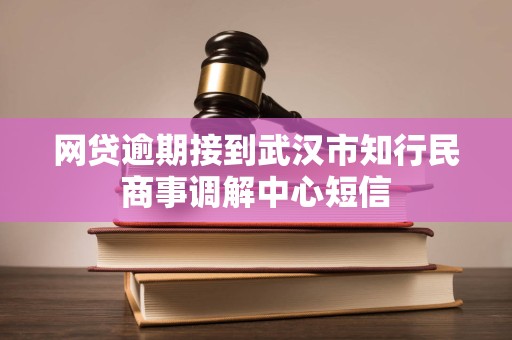 网贷逾期接到武汉市知行民商事调解中心短信