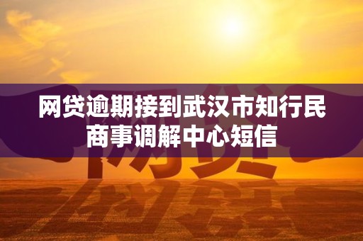 网贷逾期接到武汉市知行民商事调解中心短信