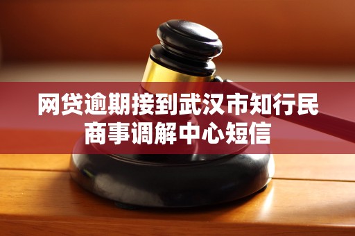 网贷逾期接到武汉市知行民商事调解中心短信