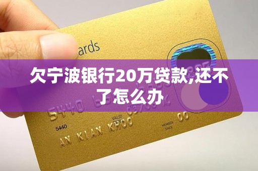欠宁波银行20万贷款,还不了怎么办