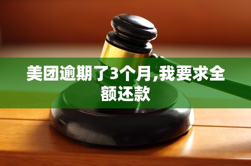 美团逾期了3个月,我要求全额还款