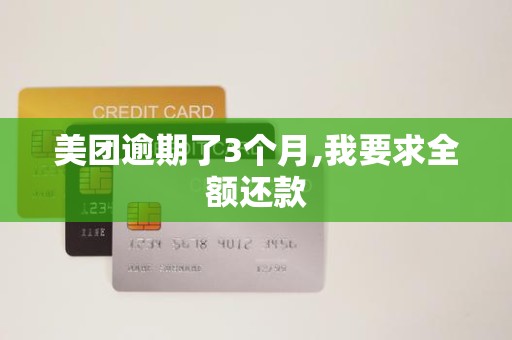 美团逾期了3个月,我要求全额还款