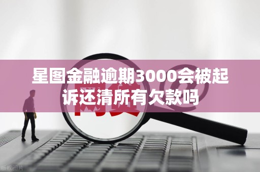 星图金融逾期3000会被起诉还清所有欠款吗