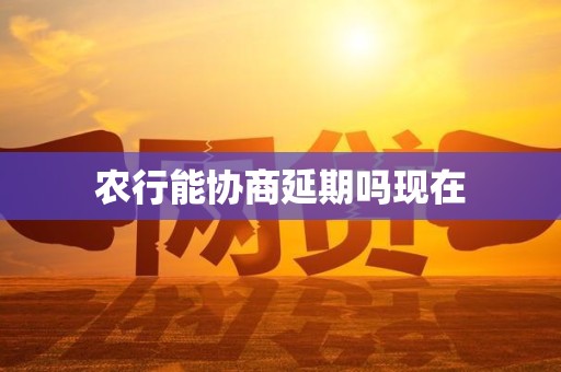 农行能协商延期吗现在