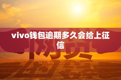 vivo钱包逾期多久会给上征信