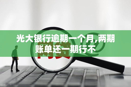 光大银行逾期一个月,两期账单还一期行不