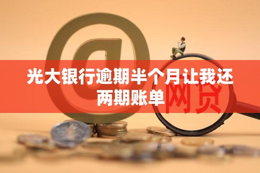 光大银行逾期半个月让我还两期账单