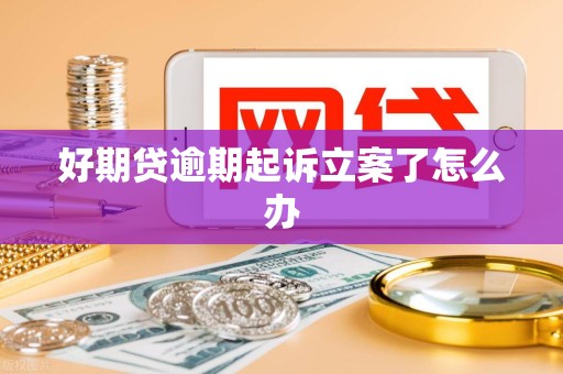 好期贷逾期起诉立案了怎么办