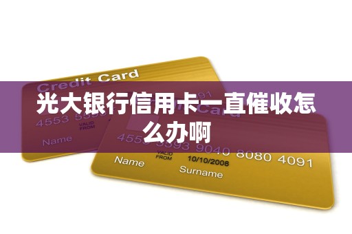 光大银行信用卡一直催收怎么办啊