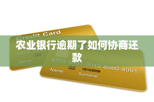 农业银行逾期了如何协商还款