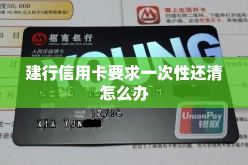建行信用卡要求一次性还清怎么办