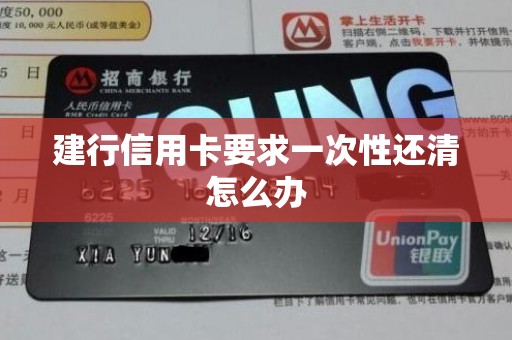 建行信用卡要求一次性还清怎么办