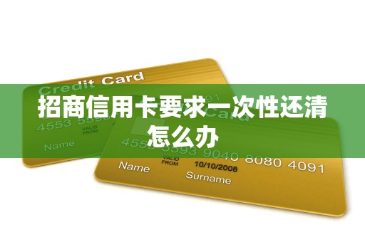 招商信用卡要求一次性还清怎么办