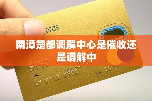 南漳楚都调解中心是催收还是调解中