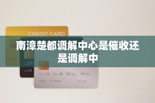 南漳楚都调解中心是催收还是调解中