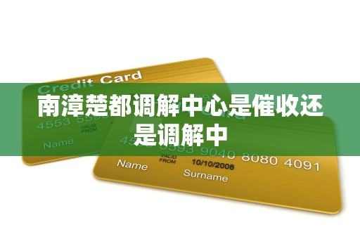 南漳楚都调解中心是催收还是调解中